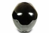 Realistic, Polished Obsidian Skull - Mexico #378721-5